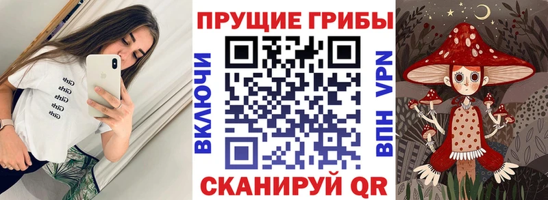 дарк нет телеграм продажа наркотиков Болхов Псилоцибиновые грибы Psilocybine cubensis